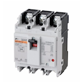 BW100EAG-3P060