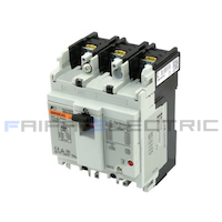 BW50EAG-3P005