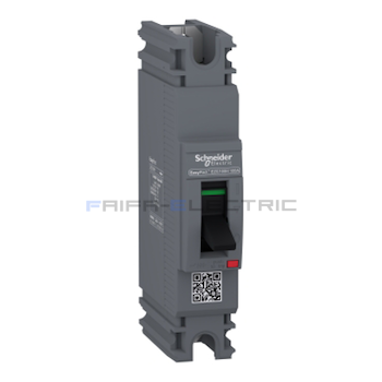 EZC100N1080